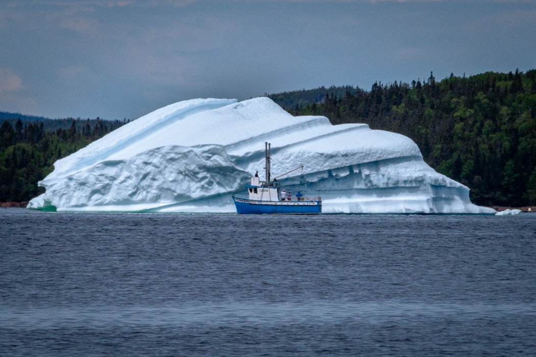 Newfoundland ride 2019
